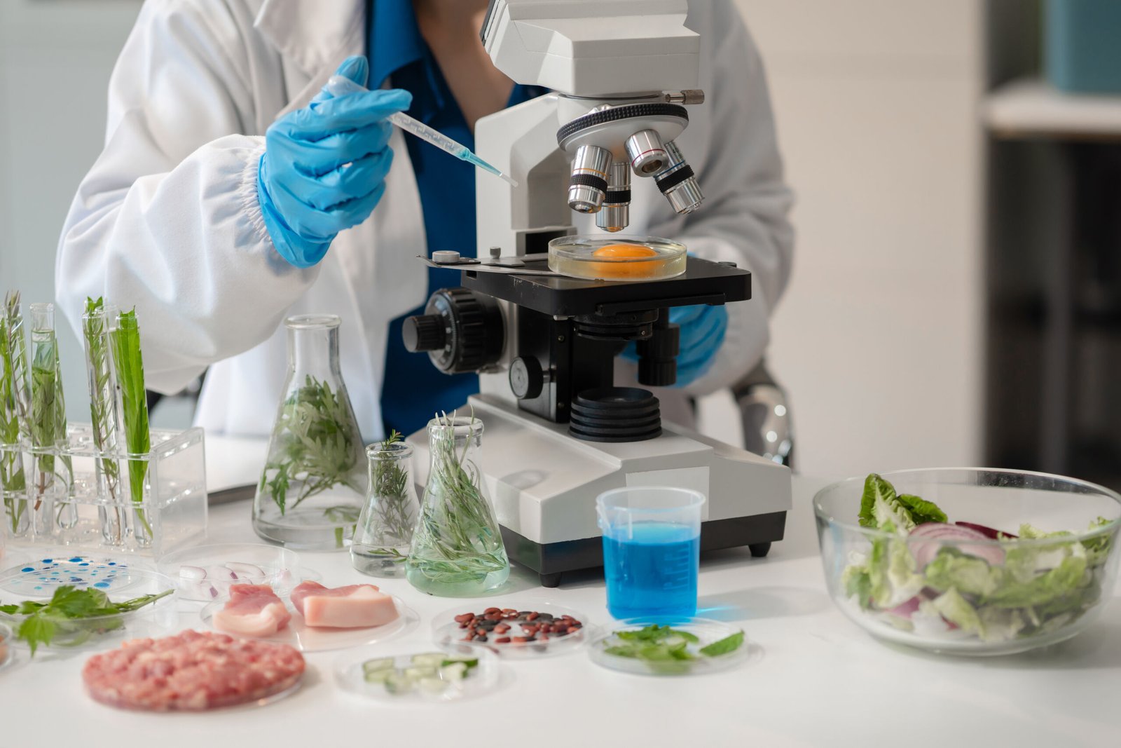 Food and material analysis testing at L.A.C. S.r.l.