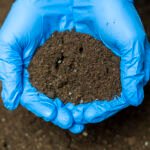 Digestate and nitrogen in Lombardy: why analysis is the starting point for agronomic management