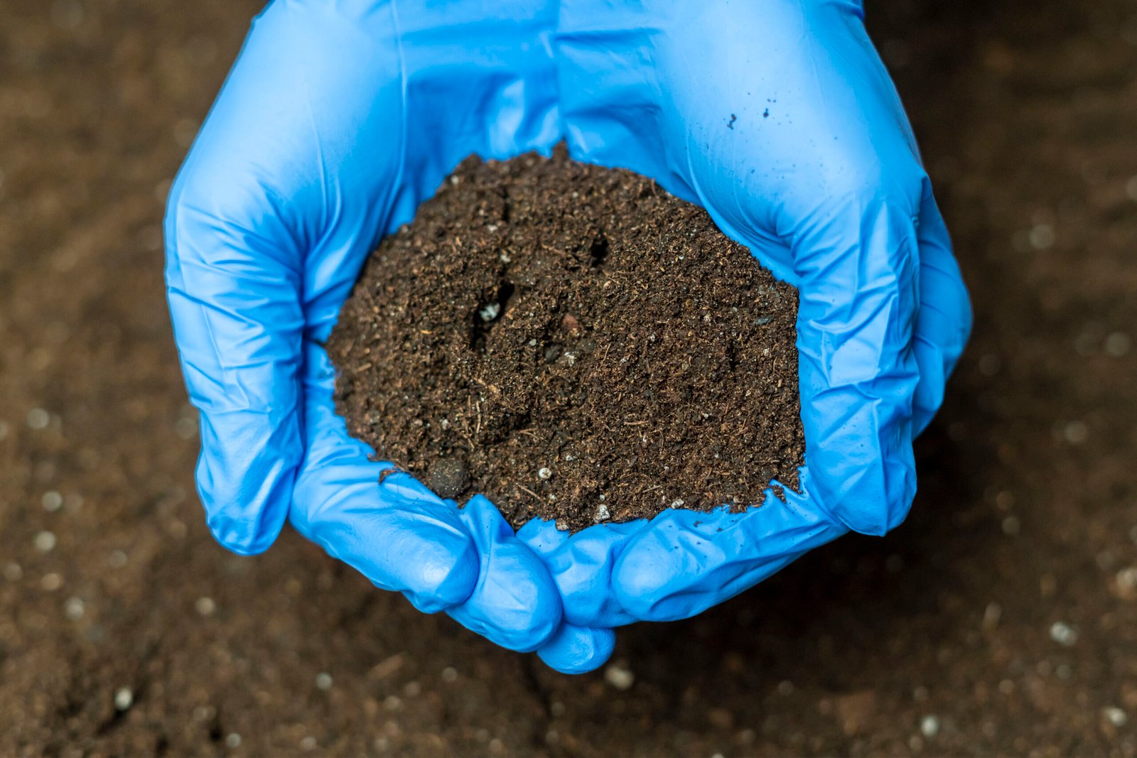 Soil and subsoil analysis - L.A.C. S.r.l.