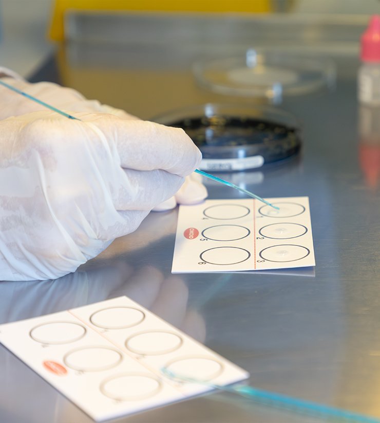 L.A.C. S.r.l. accredited laboratory facility in Cremona