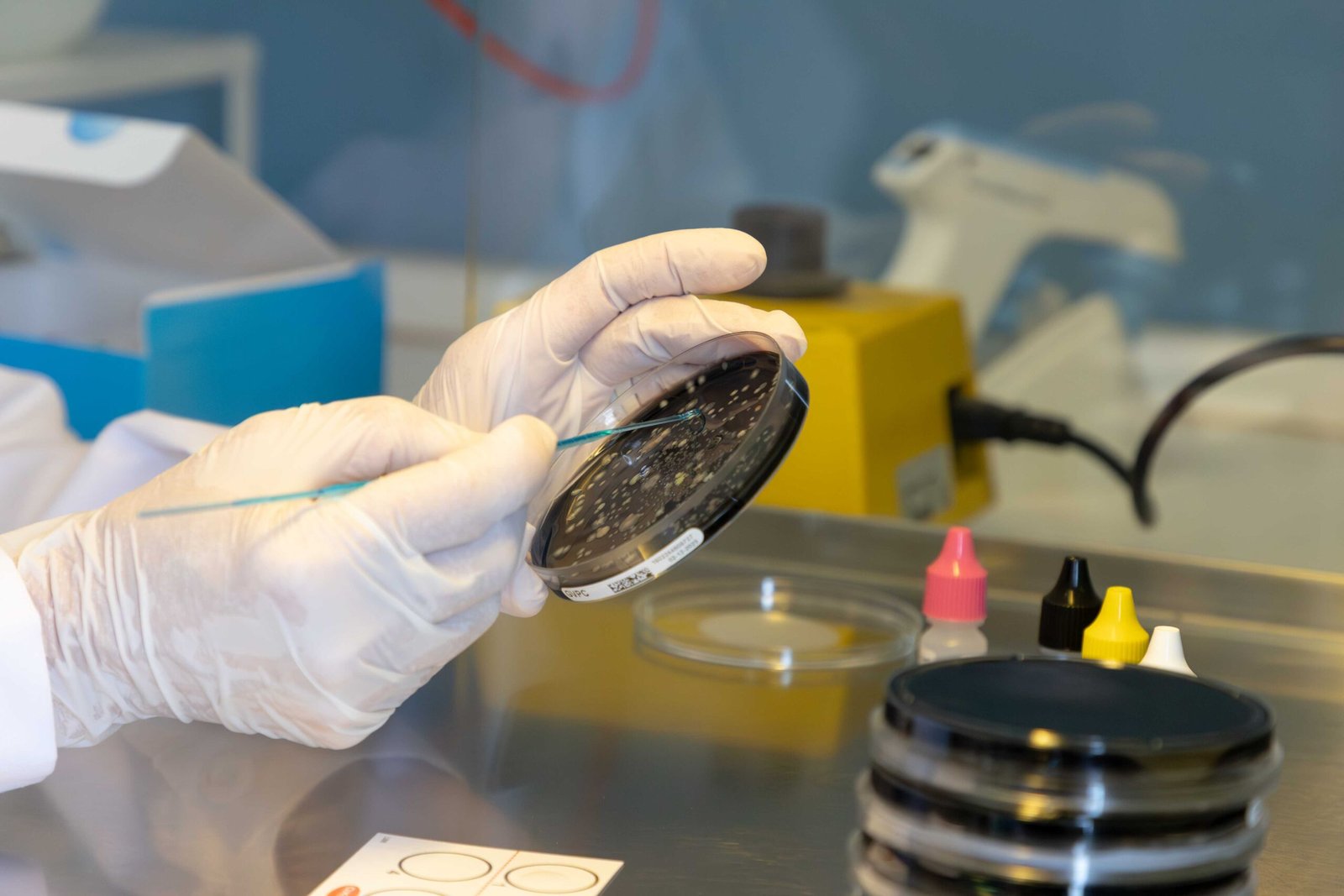 Agronomic and soil analysis at L.A.C. accredited laboratory