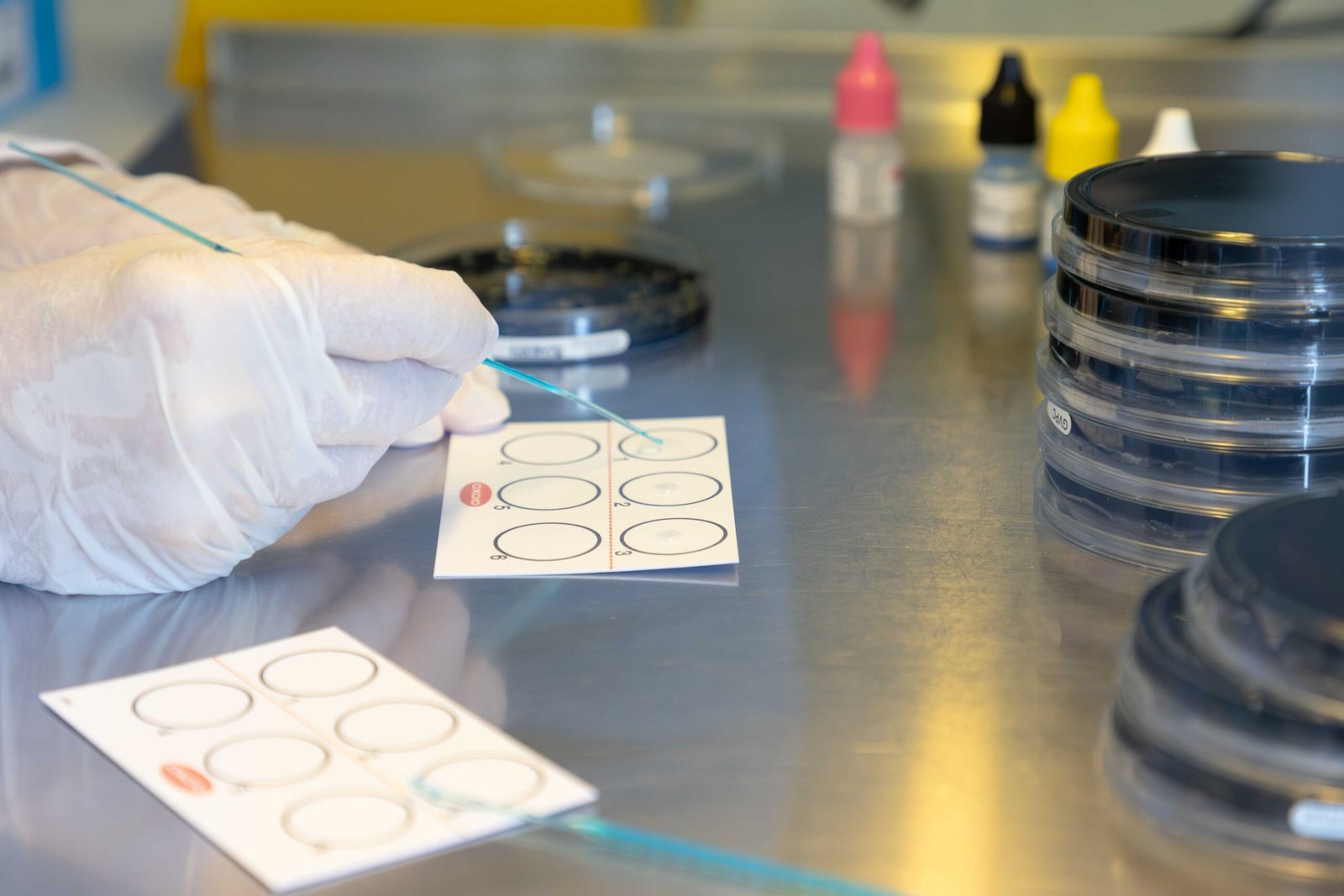 Food and material analysis testing at L.A.C. S.r.l.